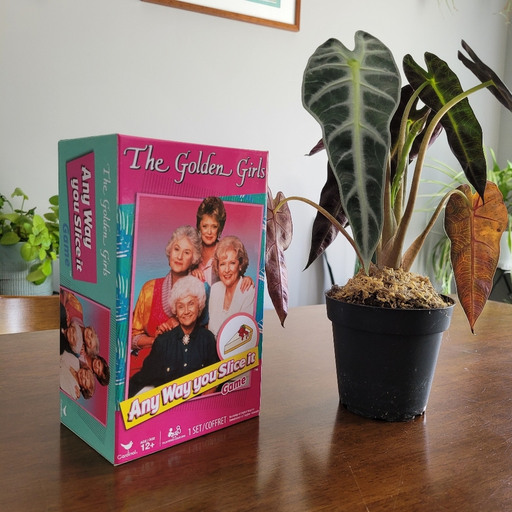 Anyway You Slice It Board Game